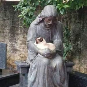 Meet your Posher, Patsy